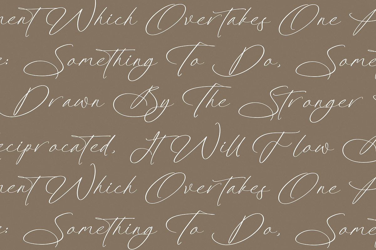 Platimye Stylish Signature Font, a Script Font by Letterena Studios Script (Photo 6 of 15)