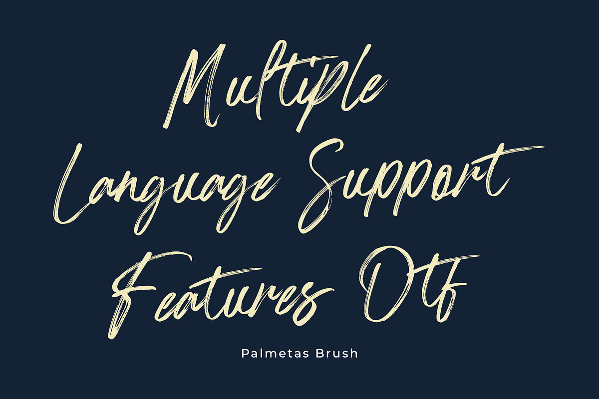Palmetas, a Handwritten Font by Gatype (Photo 8 of 10)
