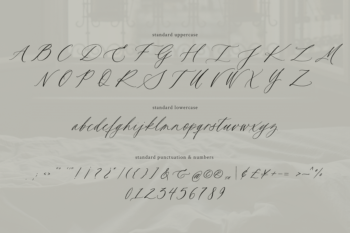 Deuxieme Script Font, a Script Font by Courtney Rose Design (Photo 4 of 14)