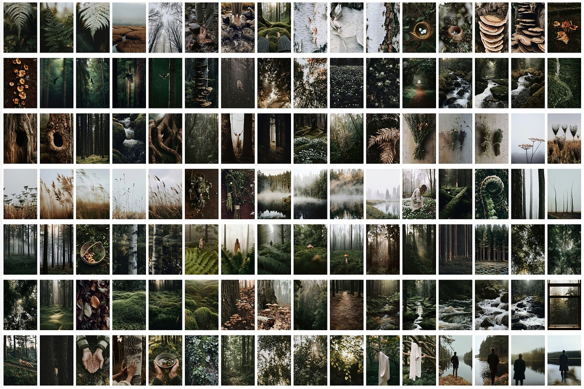 Forest Stock Photos | Moody Woodland, a Nature Photo by Tale.Haus (Photo 17 of 20)