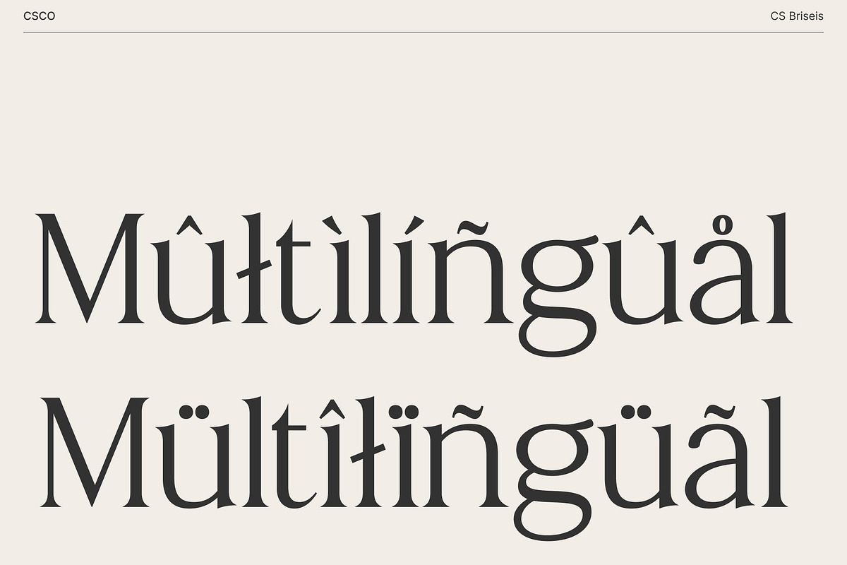 CS Briseis – Luxury Serif Font, a Serif Font by Craft Supply Co. (Photo 4 of 8)
