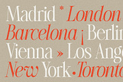 The Silver Editorial Serif Font, a Serif Font by SilverStag Type Foundry (Thumbnail 21 of 25)