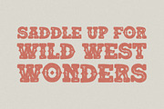 South Canyon, a Slab Serif Font by Rillatype (Thumbnail 9 of 10)