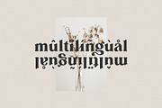 Ligature Font BUNDLE, a Serif Font by BrandSemut (Thumbnail 9 of 70)