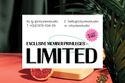 Newstan Tall Condensed Sans Serif, a Sans Serif Font by timelesstype.co (Thumbnail 2 of 10)