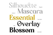 Randeta Olindra - Serif Family, a Serif Font by Novitype (Thumbnail 6 of 13)