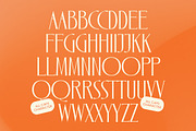 Zamilah Modern Serif Display, a Serif Font by timelesstype.co (Thumbnail 12 of 20)