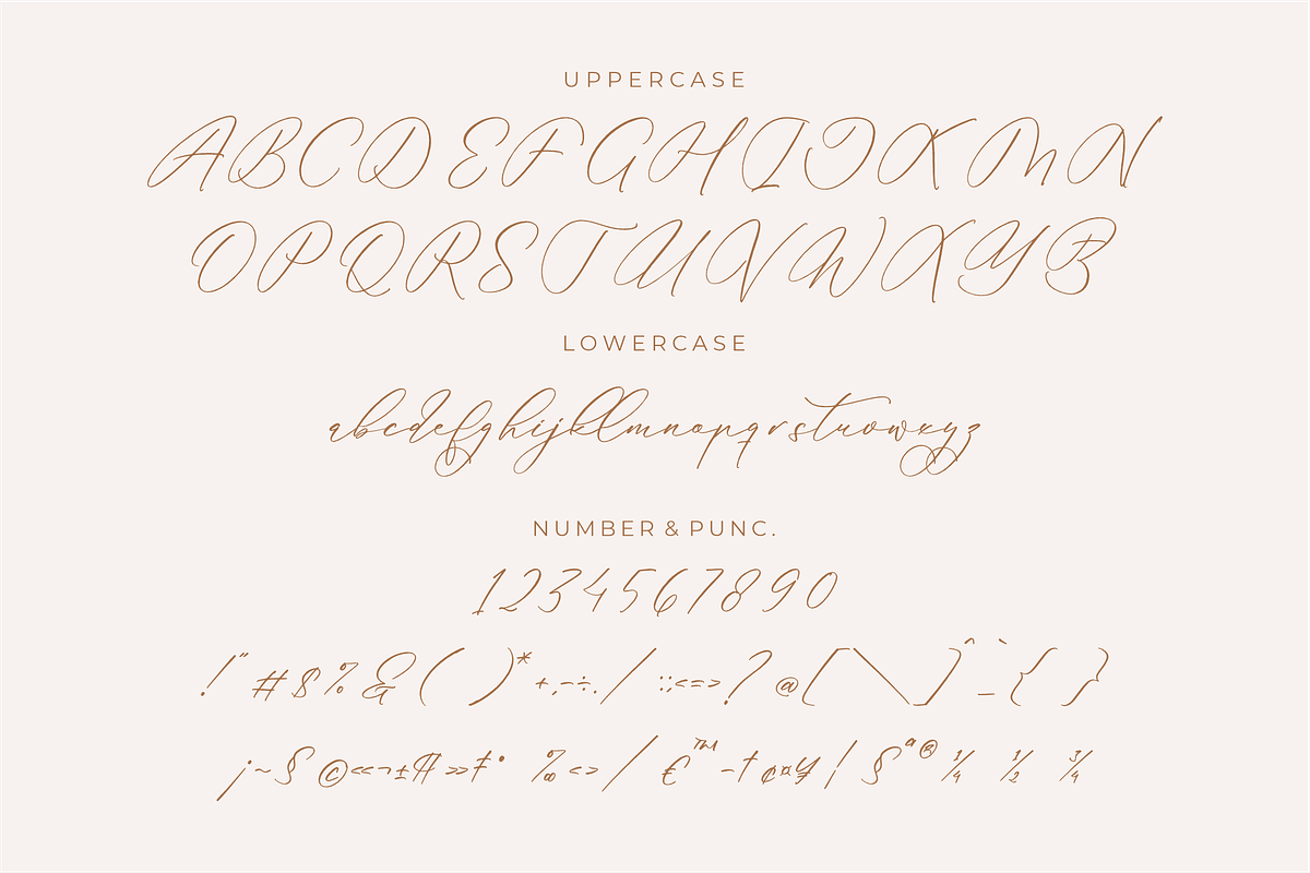 Anticka Whitnes Beauty Script Font, a Script Font by Storytype Studio (Photo 12 of 15)