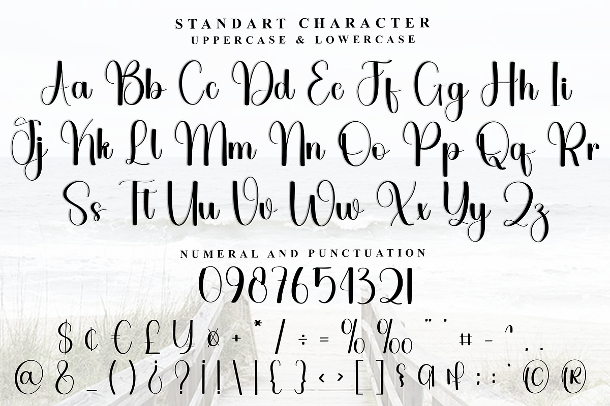 Chicken Vegetable, a Handwritten Font by FreshTypeINK (Photo 5 of 8)