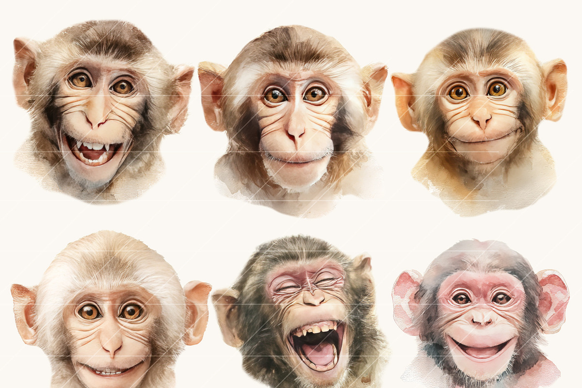 Funny Monkey Faces Clipart Set, an Animal Illustration by Design Scotch (Photo 2 of 8)
