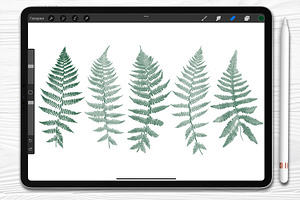 Fern. Procreate Brush Set