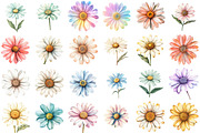 Watercolor Summer Daisy Clipart, an Illustration by designcity5 (Thumbnail 2 of 5)
