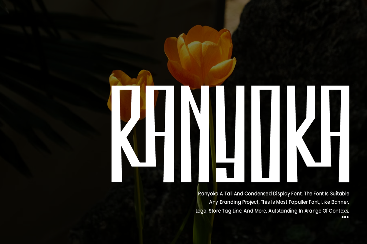 Ranyoka - Tall Condensed Font, a Sans Serif Font by QR Design Studio (Photo 2 of 7)