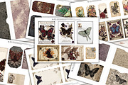 Gothic Butterfly Folio Kit, a Decorative Illustration by Print Haven Mochi Vintage (Thumbnail 2 of 4)