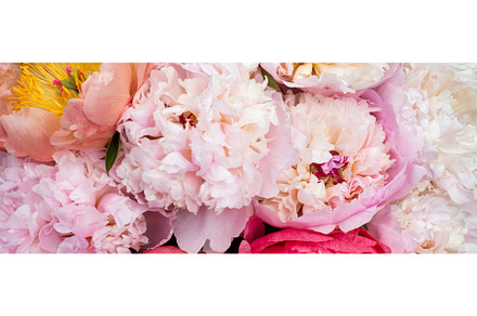 Fresh bunch of pink peonies