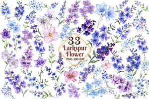 Larkspur Flower Watercolor Cliparts, an Illustration by Watercolor design