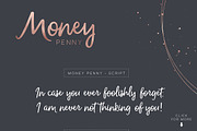 Money Penny - Script & Sans, a Script Font by Ian Barnard (Thumbnail 2 of 9)