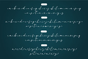 Donatellia Signature, a Script Font by Garisman Std (Thumbnail 10 of 13)