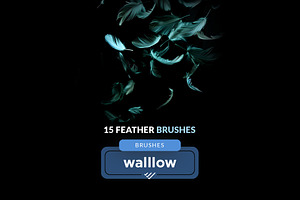 Feathers Photoshop Brushes