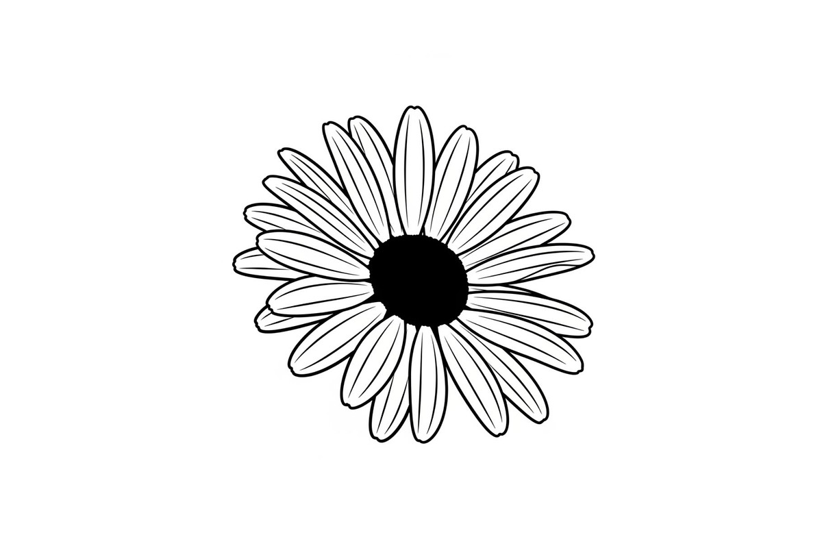 Daisy Flower Line Art Vector Bundle0, an Illustration by jahid234 (Photo 16 of 51)
