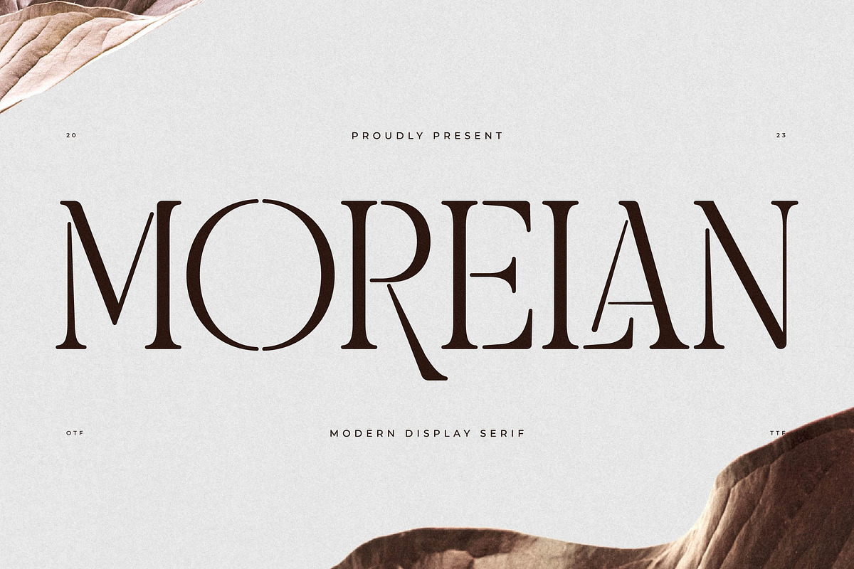 Morelan Modern Display Serif, a Serif Font by Storytype Studio (Photo 1 of 15)