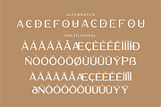 Waldecry A Modern Serif Font, a Serif Font by Storytype Studio (Thumbnail 14 of 15)