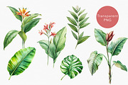 Tropical rainforest clip art set, a Seasonal Illustration by FleurArt (Thumbnail 2 of 12)