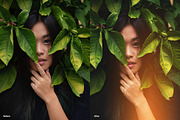 Light Leaks Set. 1 | Ps Actions, an Action Add-On by Filterlate (Thumbnail 3 of 5)