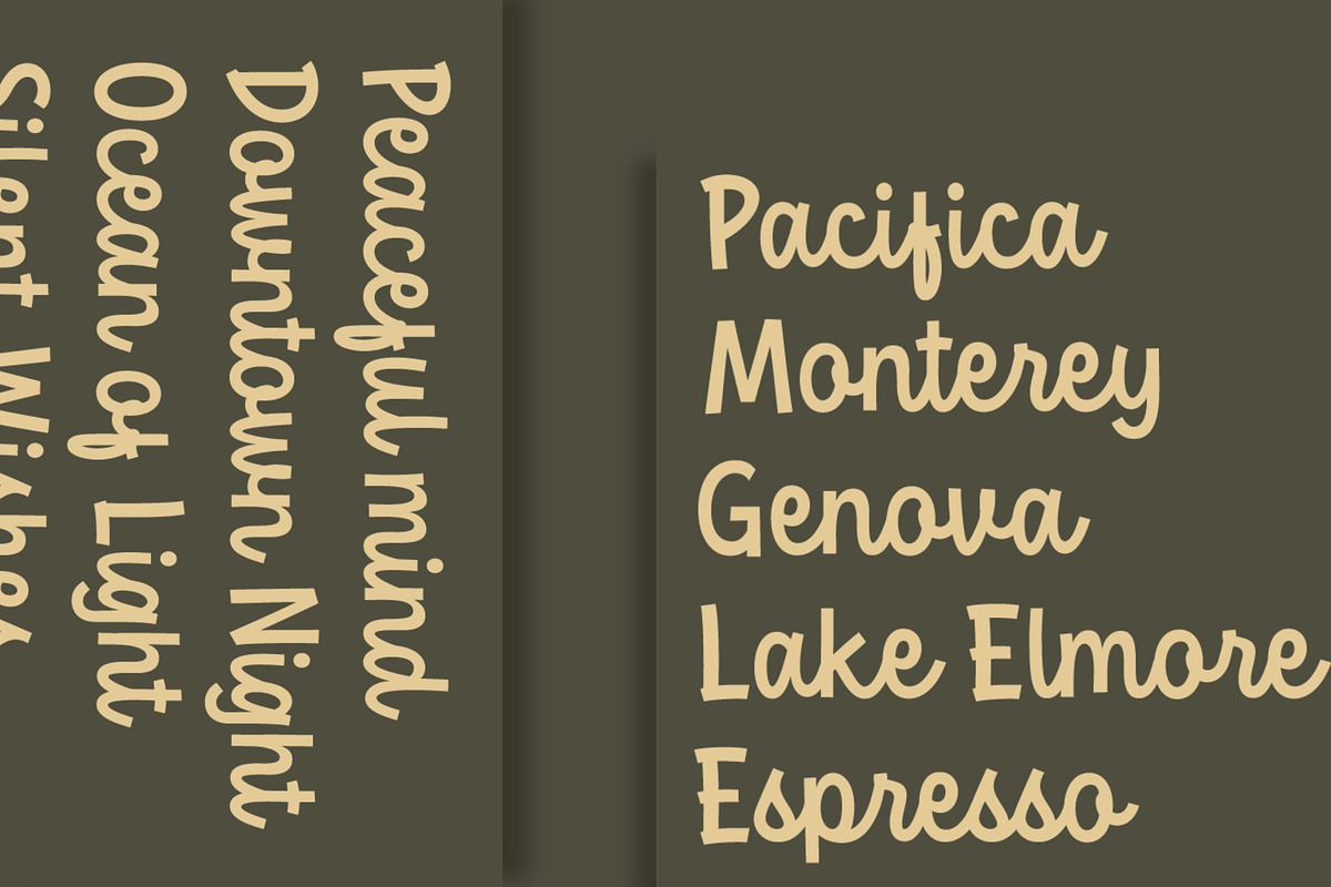 Pristers Font, a Script Font by Glyphminds Studios (Photo 2 of 10)