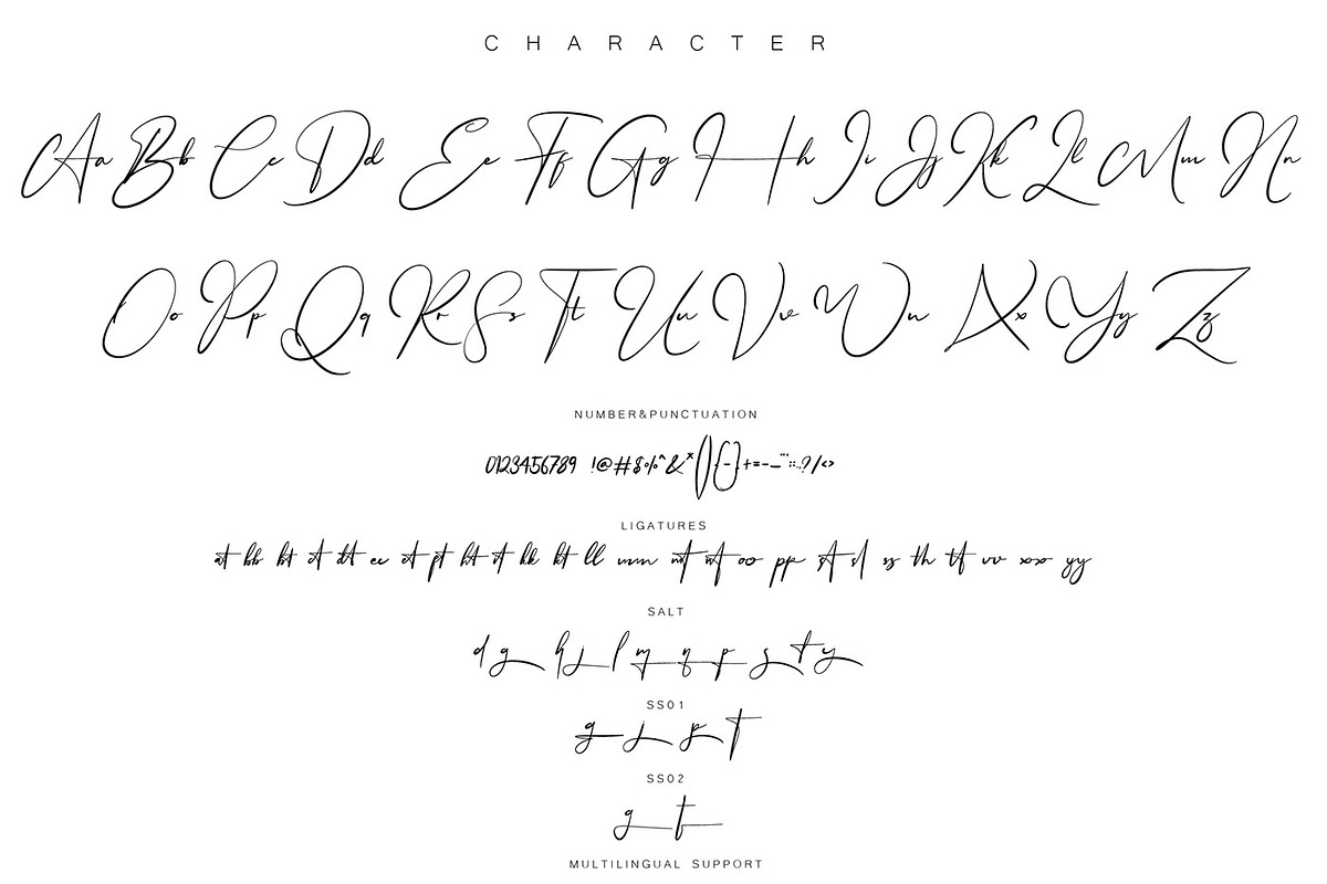 Mangollia - Signature Font, a Script Font by NuType (Photo 9 of 15)