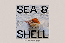 Sea & Shell - Vintage Sans Serif