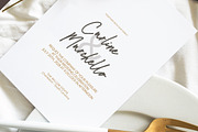 Waffelli - Monoline Signature, a Handwritten Font by tebaltipislab (Thumbnail 6 of 10)