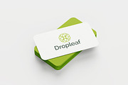 Dropleaf – Modern Nature Logo Design, a Branding & Logo Template by arhabib (Thumbnail 2 of 13)