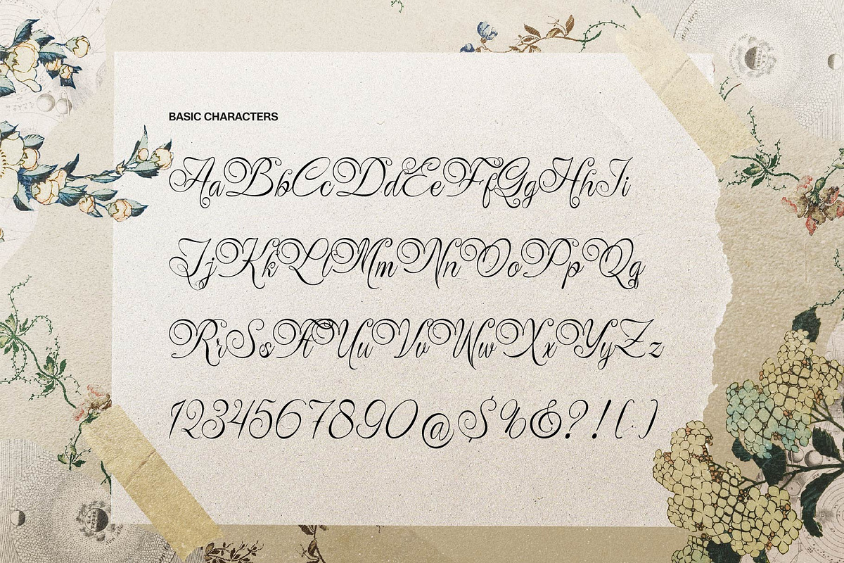 Rustaliya | Classic Elegant Script, a Script Font by gracetype_studio (Photo 9 of 11)