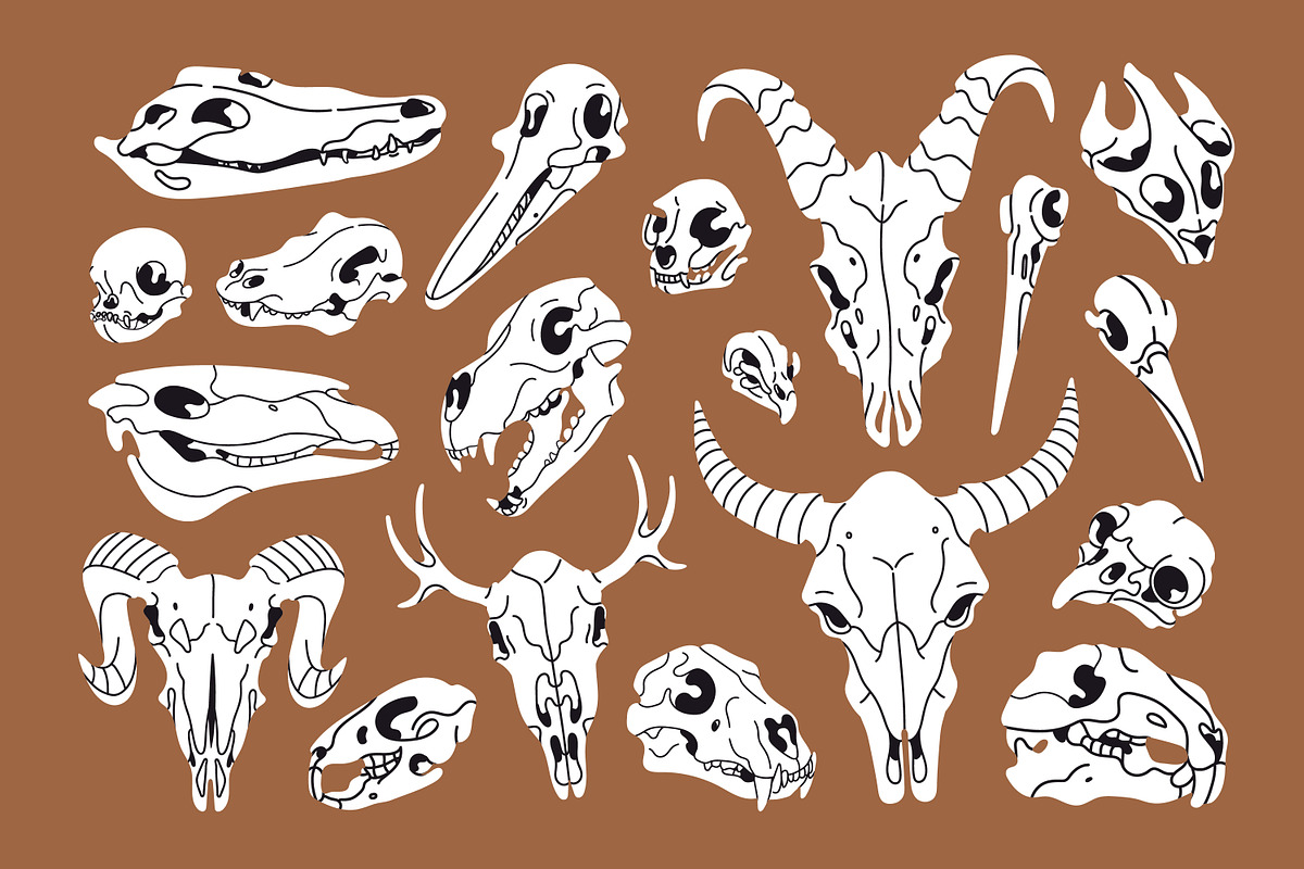 Different animals skulls, bones set, an Animal Illustration by PaperTrident (Photo 1 of 3)
