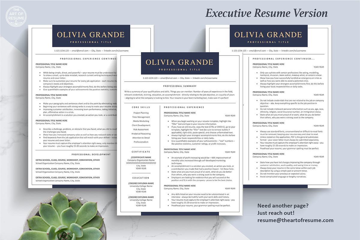 Editable Resume CV Template Design, a Resume Template by The Art of Resume (Photo 5 of 9)
