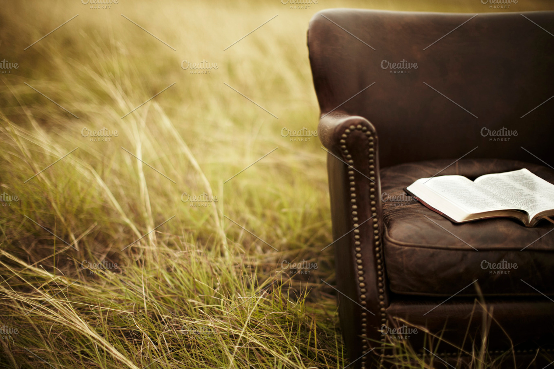 Quiet Time with the Bible, a Nature Photo by Lightstock