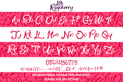 Little Raspberry Typeface+Extras, a Font by Yasir Ekinci (Thumbnail 9 of 10)