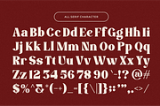 Endrip Faceo - Font Duo Typeface, a Serif Font by MaikoHatta (Thumbnail 5 of 8)
