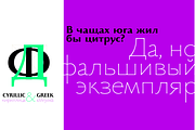 Beatrix Antiqua - 18 fonts, a Sans Serif Font by Zetafonts (Thumbnail 9 of 10)