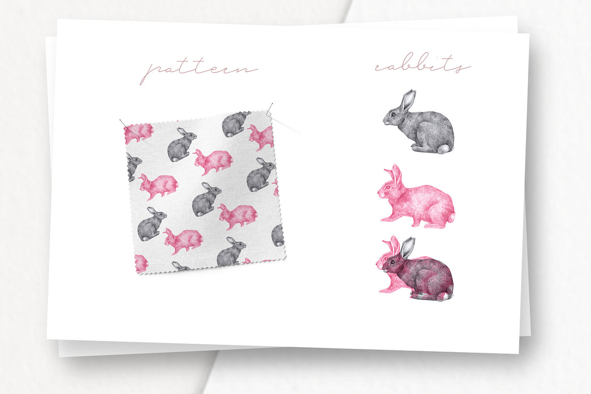 Hand drawn Rabbits Illustrations, an Animal Illustration by Greek fonts by nantia.co (Photo 2 of 6)