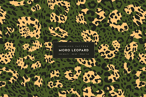 Moro Leopard