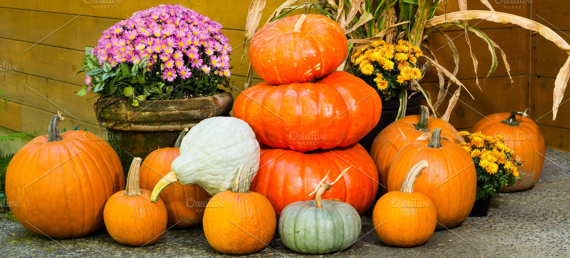 Fall decorations of pumpkins featuring fall, autumn, and leaves