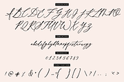 Wild Magnolia Luxury Script, a Script Font by theinkaffair (Thumbnail 12 of 13)