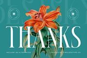 Bestsky Modern Luxury Display Serif, a Serif Font by timelesstype.co (Thumbnail 20 of 20)