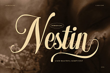 Nestin Elegant Script Font