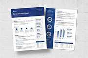 Factsheet Template, a Flyer Template by BrandPacks (Thumbnail 5 of 5)