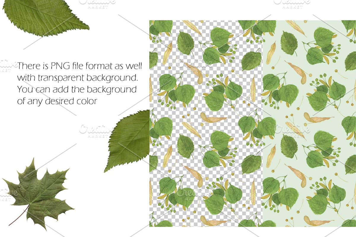 Linden tree leaves and seeds, a Pattern Graphic by Contes_de_fée (Photo 4 of 9)