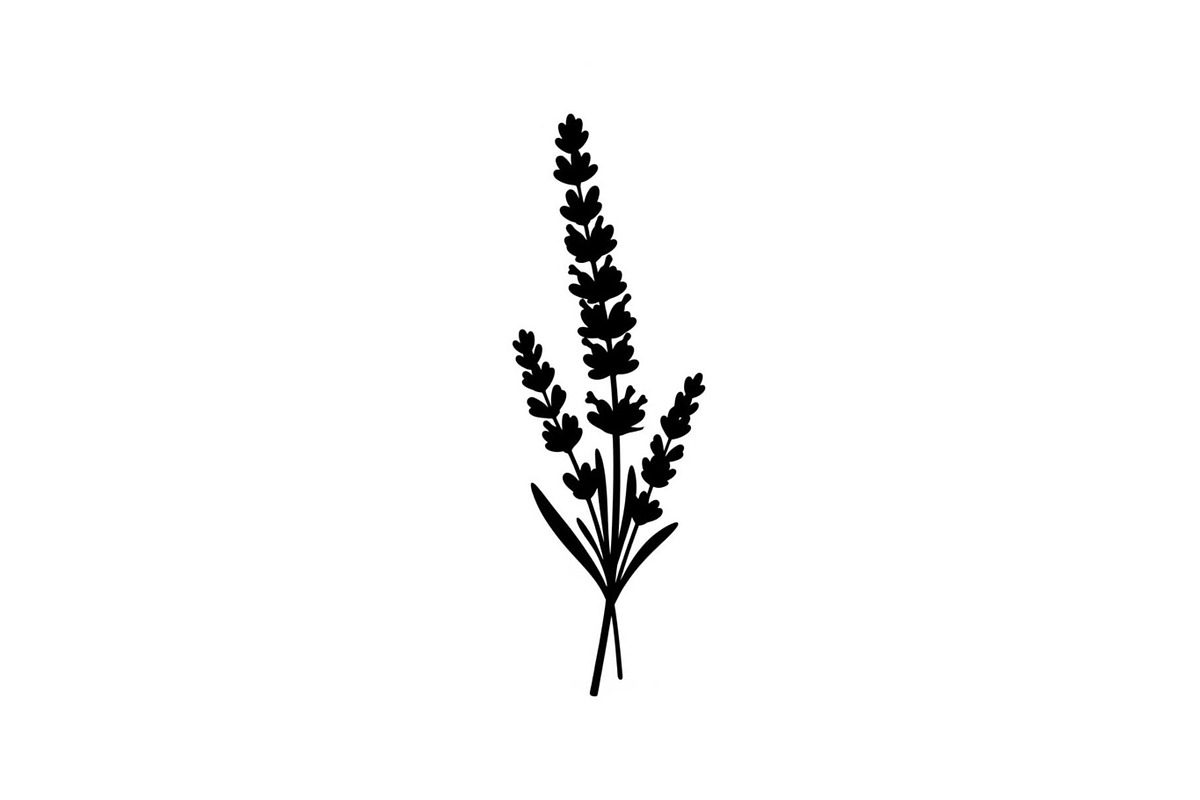 Floral Ornament Silhouette Bundle, an Illustration by BIPLOB EXPERT (Photo 22 of 51)