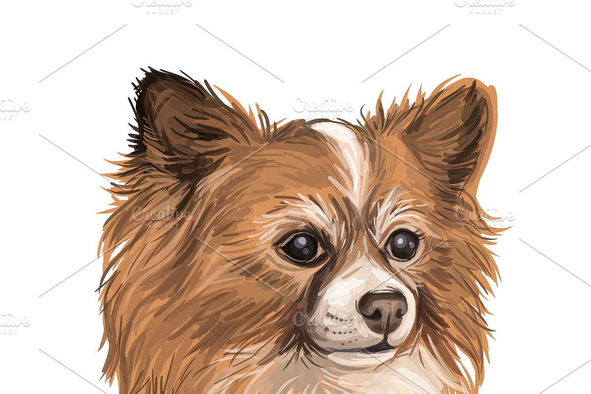Dogs Cross Breeds 56 Animals Bundle, an Animal Illustration by Dneprstock (Photo 31 of 55)